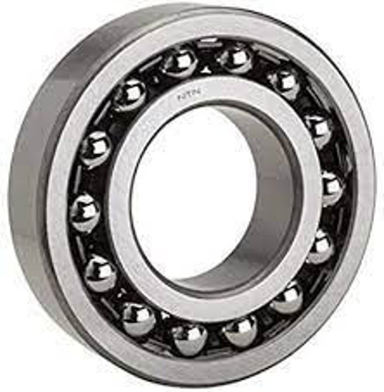 Imagen de ROL NUP 2206 SKF                                  